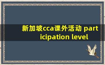 新加坡cca课外活动 participation level